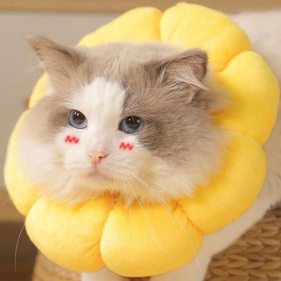 Sunflower Pet Recovery Neck Cone Collar - Picture 5 of 14